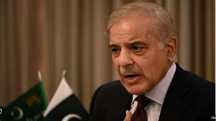 Shehbaz Sharif calls for unity for nation building 