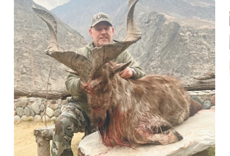 Third Markhor hunted in Chitral under Trophy Hunting programme