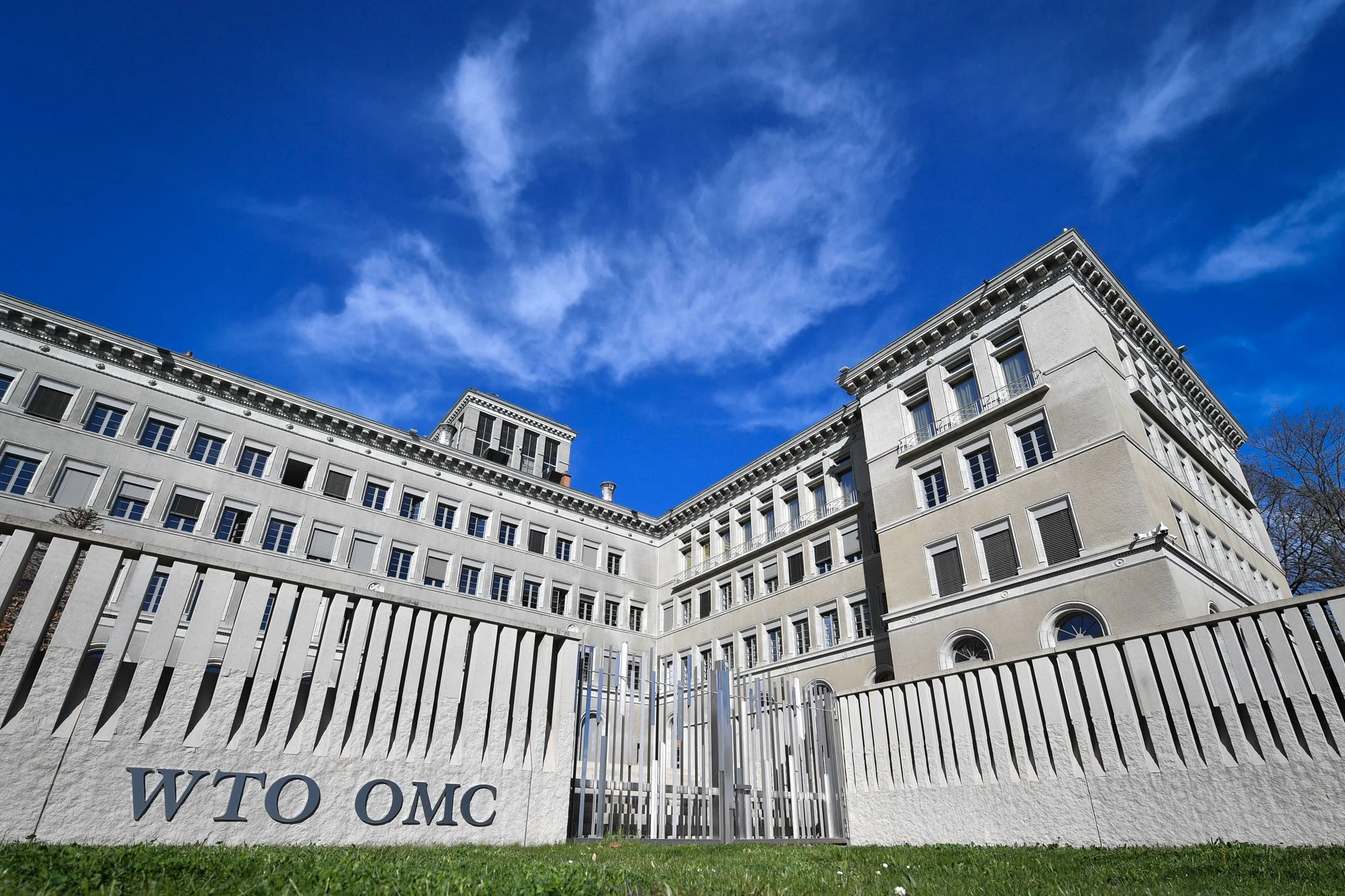 WTO launches $50m fund for female entrepreneurs in developing world