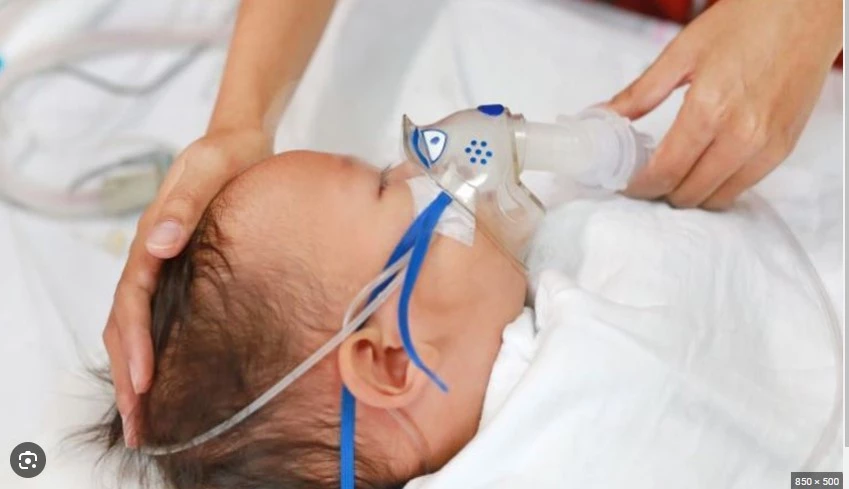 Death toll from pneumonia rises to 456 in Punjab
