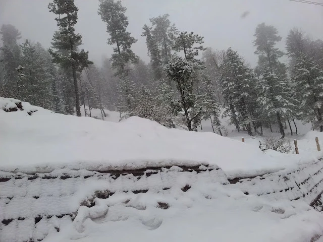 Schools in Upper Dir closed till March 8 after heavy snowfall in region