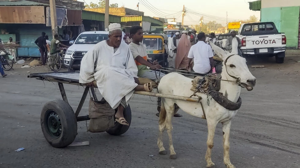 War-weary Sudanese without fuel turn to donkey carts