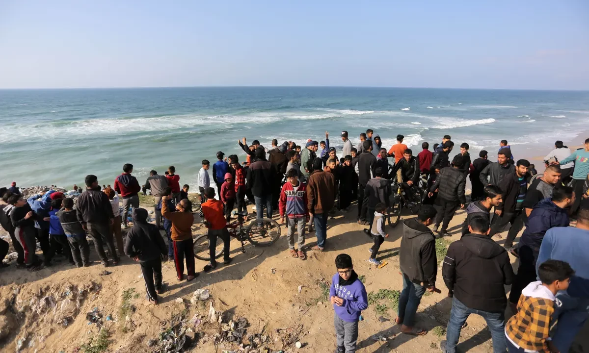 US proposal to build aid port off Gaza 'cynical': UN expert