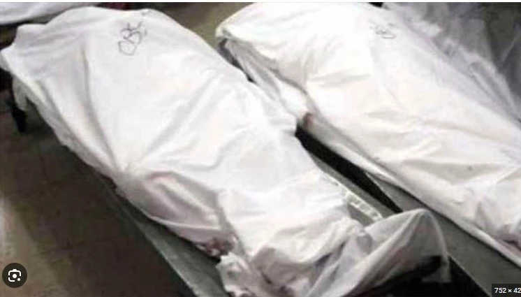 Two brothers killed in Nawabshah over property dispute