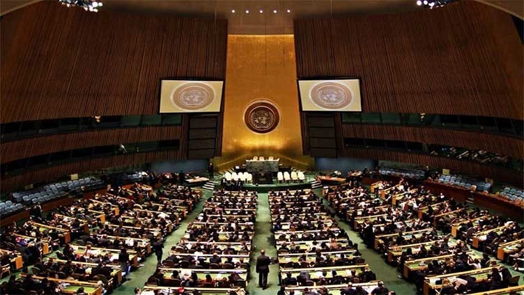 Pakistan's resolution to combat Islamophobia passed in UN by 113 votes