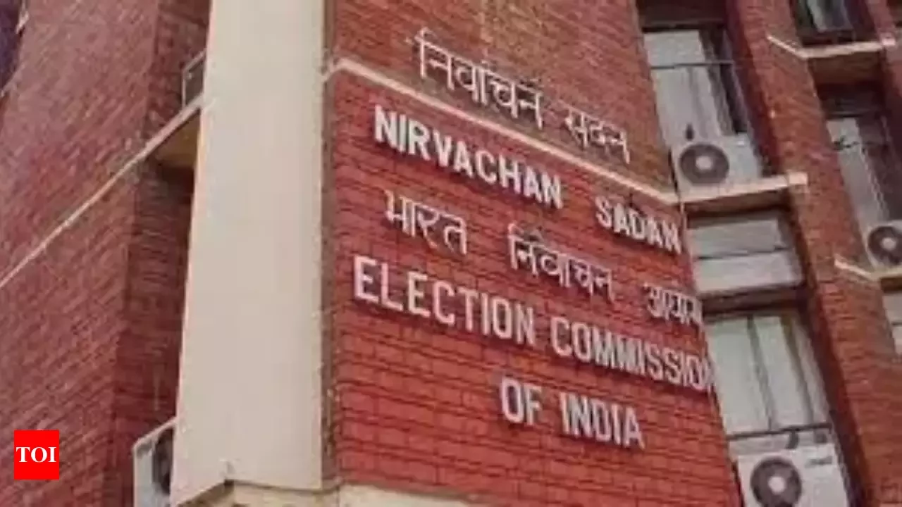 Voting in India election to begin April 19: commission