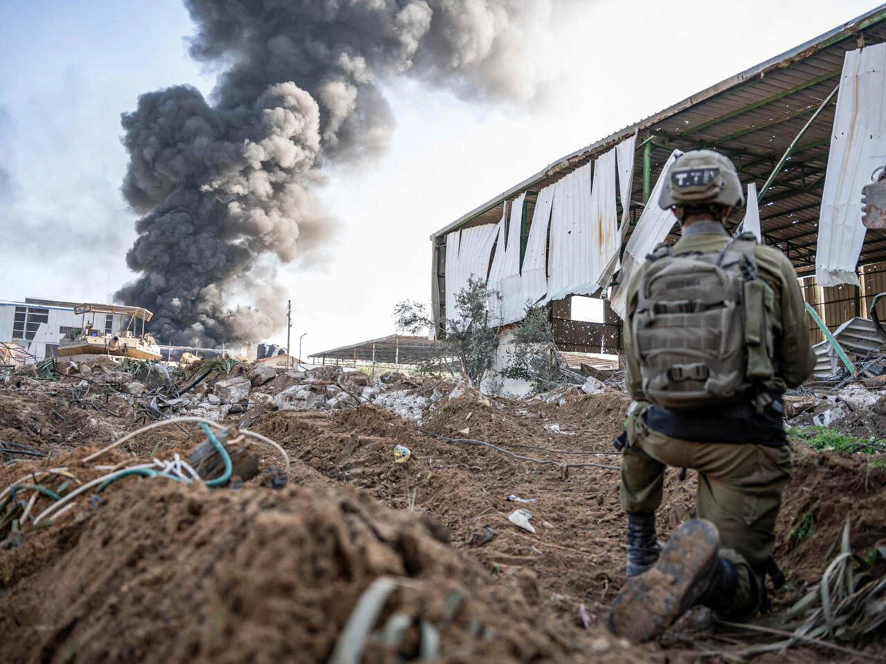 Countries call for swift implemenation of UN ceasefire vote