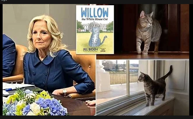 Jill Biden writes children's book about 'First Feline' Willow