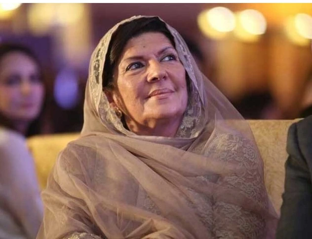 Imran Khan not willing to strike deal being offered, reveals Aleema Khan