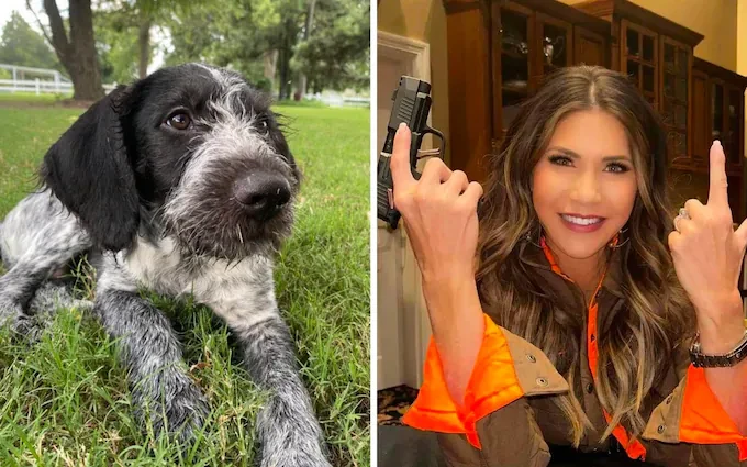 A governor, her dead dog, and the US presidential election