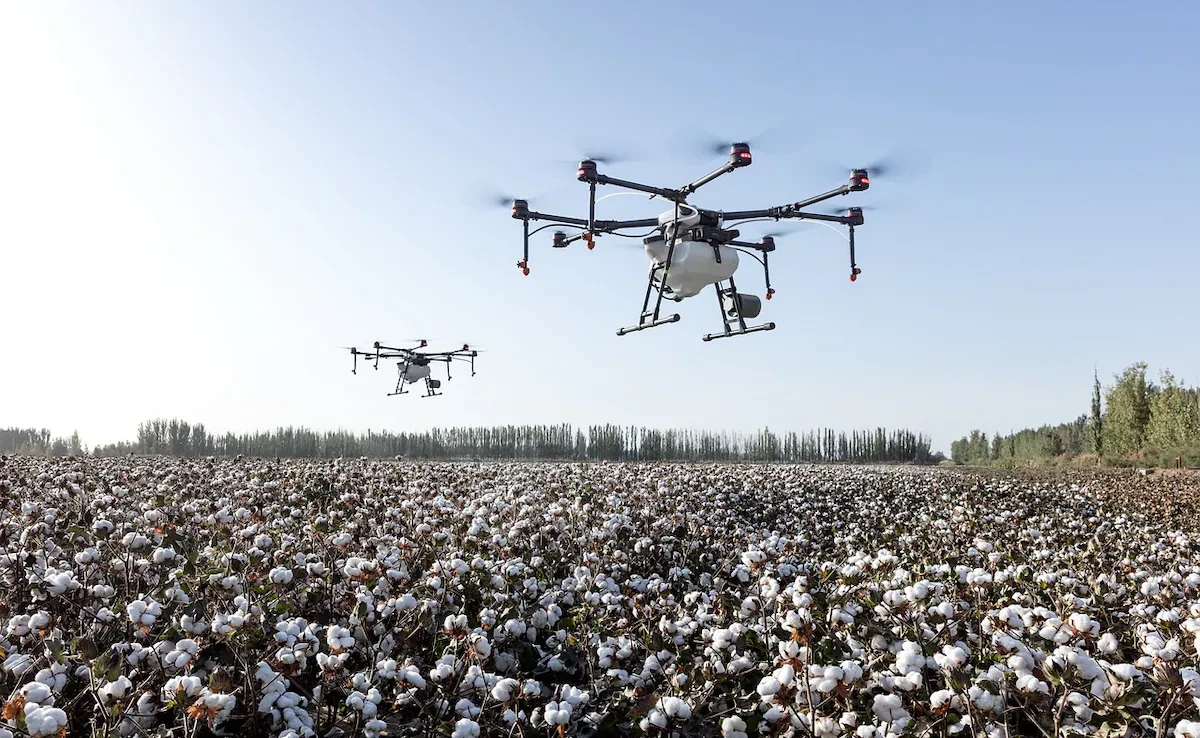 NATO members bordering Russia to build 'drone wall'
