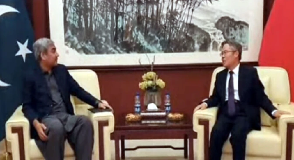 Interior minister promises foolproof security for Chinese in Pakistan