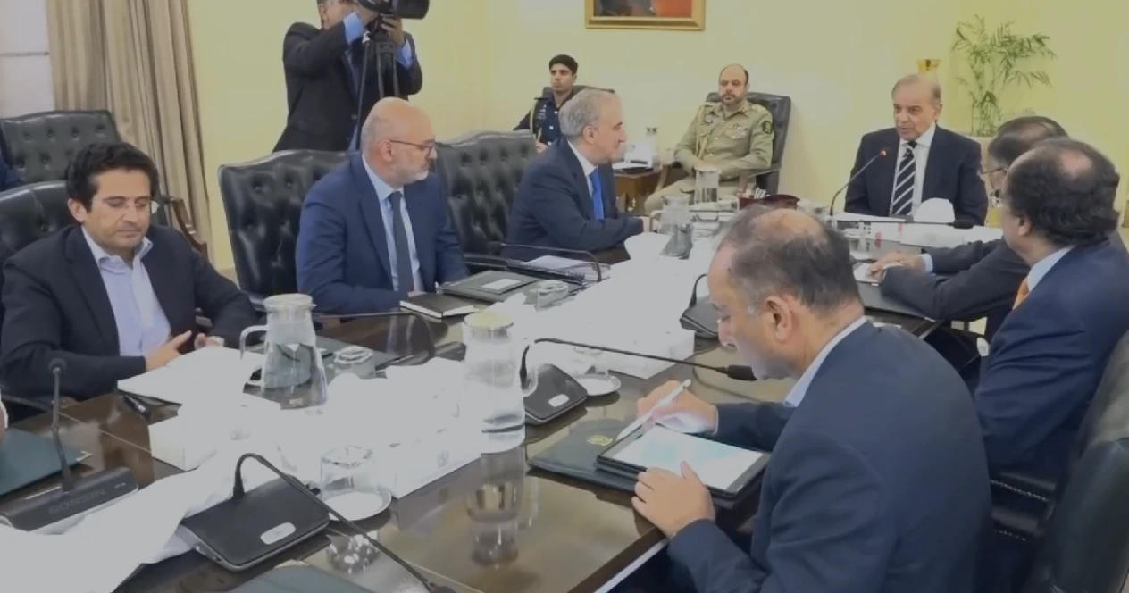 PM Shehbaz discusses energy sector reforms with Georgian delegation