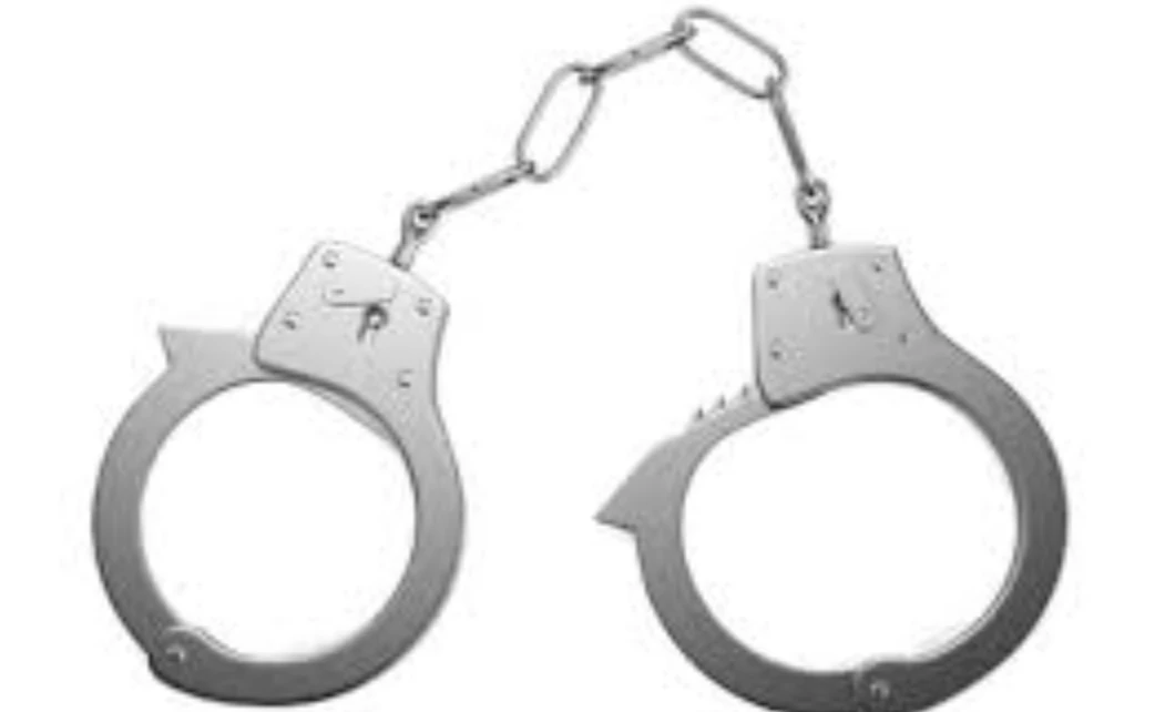 ‘Paedophile' caught in Shahdara