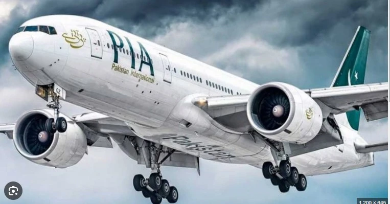 Sale of 51 to 100 per cent shares in PIA has been proposed, NA body told