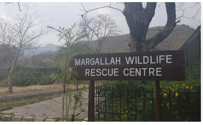 Interior Ministry gets control of Islamabad Wildlife Board