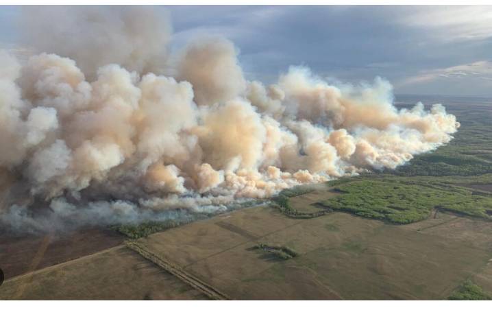 Air pollution from fires linked to 1.5 million deaths a year