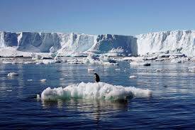 2024 'certain' to be hottest year on record: EU monitor