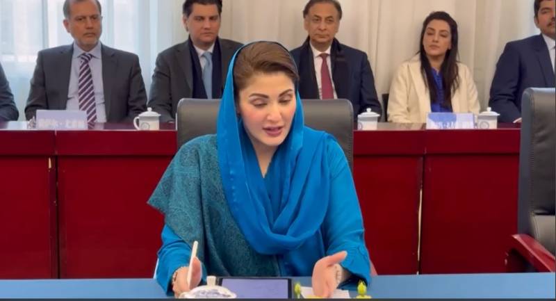 Chinese govt to support Punjab in environmental, wildlife and afforestation spheres