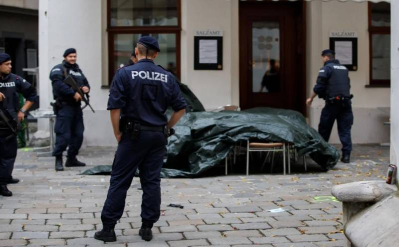 Remains found in Vienna cellar after 25 years during renovation work