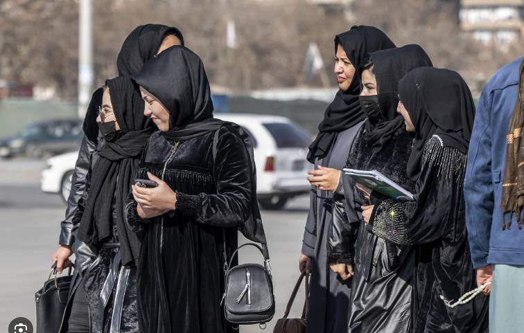 Despair grips Afghan women healthcare students facing ban