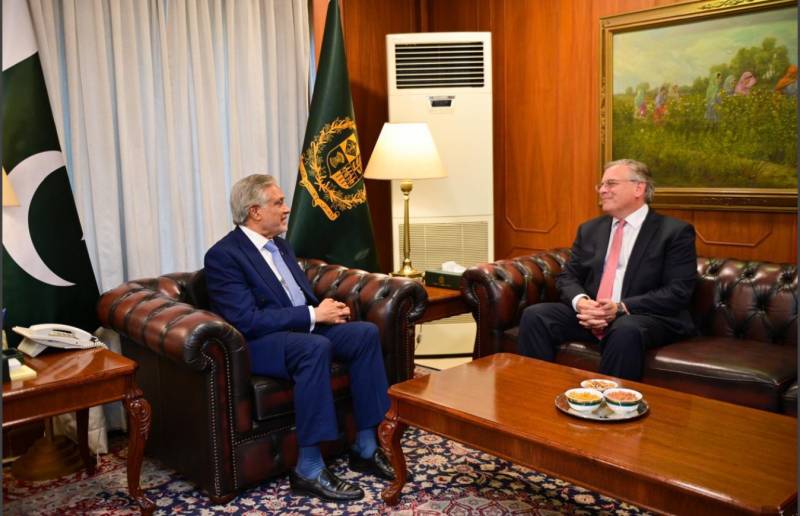 US envoy Donald Blome pays farewell call to Deputy PM Dar