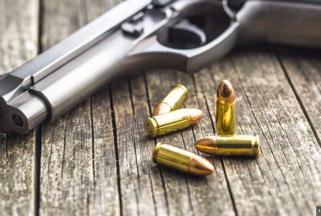 Online facility introduced to apply for arms licenses 