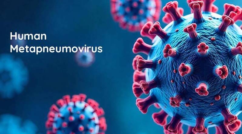 Meta Pneumovirus lands in Pakistan: First case reported