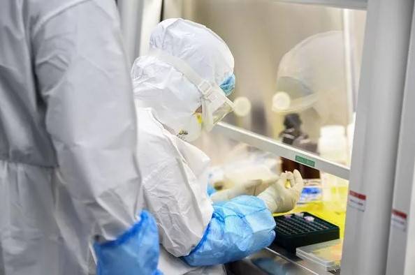 China says 'extremely unlikely' Covid pandemic came from lab leak