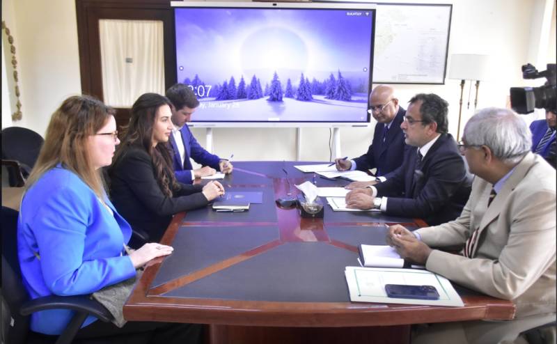 Power Minister Leghari briefs US diplomat about reforms in energy sector