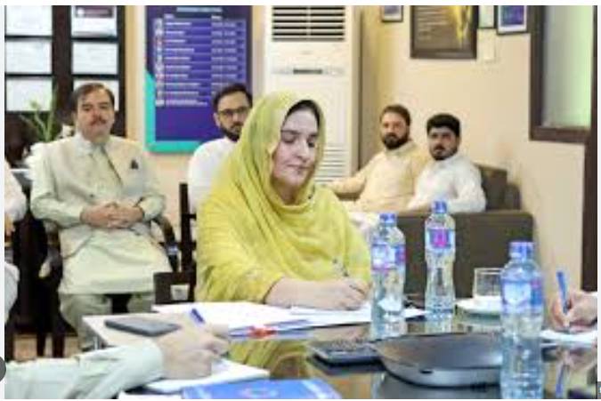 Tanzeela Sabahat appointed as Law & Justice Commission secy