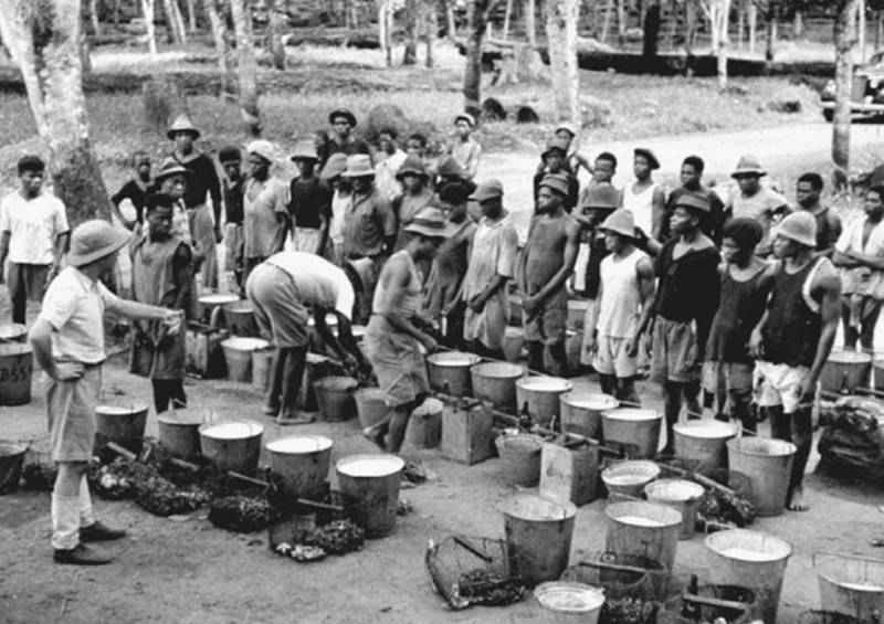 France responsible for 'extreme violence' in Cameroon independence war, report says