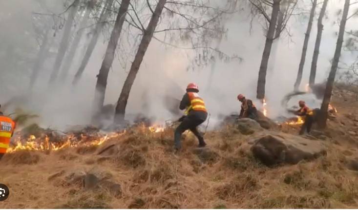 Fire wreaks havoc in Haripur, Murree forests 
