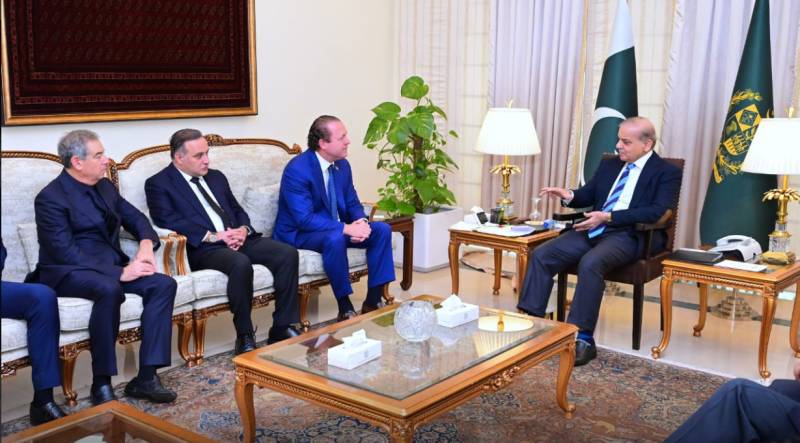 US investors delegation calls on PM to discuss investment avenues