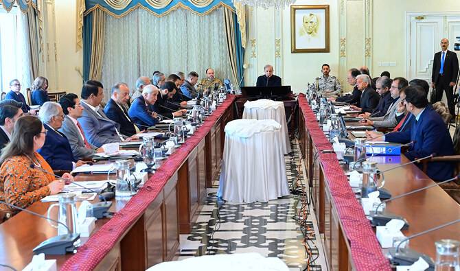 Pakistan's federal cabinet ratifies charter of Middle East Green Initiative
