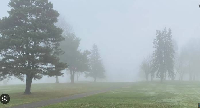 Chill stays after fog again blankets plains of Punjab