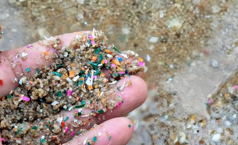Microplastics found in every seafood sample, study reveals