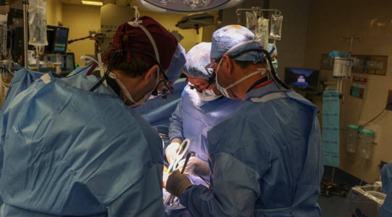 US okays pig kidney transplant trials