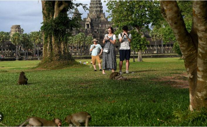YouTubers causing monkeys to attack tourists in Cambodia
