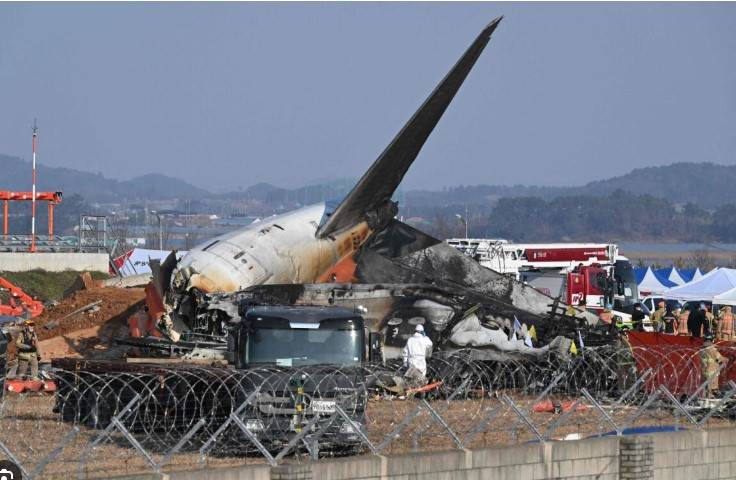 South Korea orders all airports to install bird detection cameras, radars