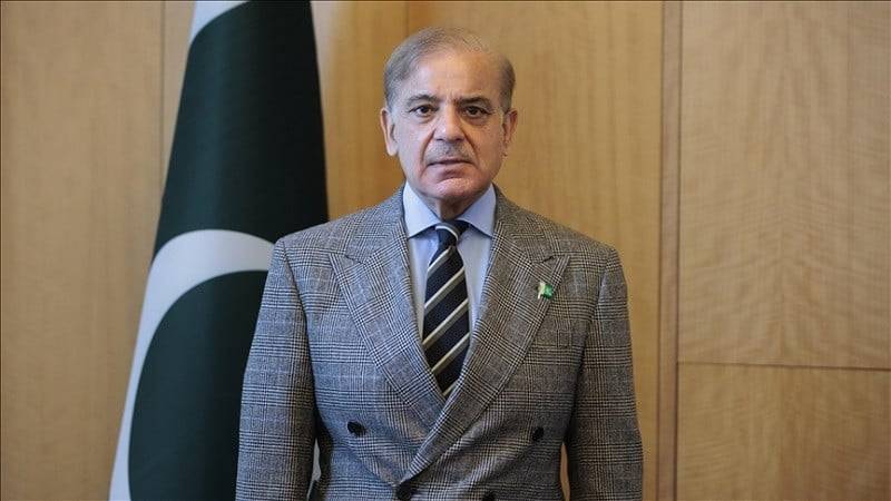 PM Shehbaz calls for support to developing countries for resilience, sustainable development