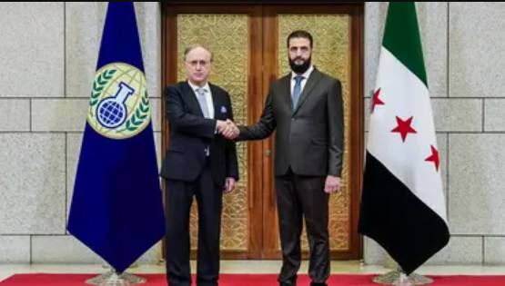 Head of UN chemical weapons watchdog meets Syrian leader