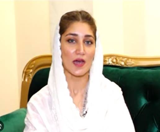 Shah Mehmood Qureshi’s daughter arrested in Multan