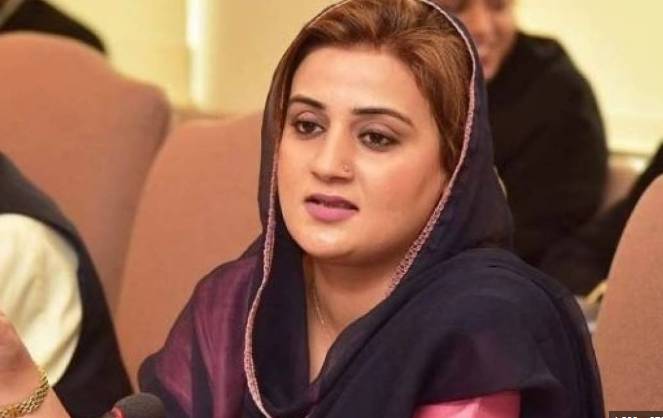 PTI KP president Junaid Akbar failed to attract people at Swabi rally: PML-N