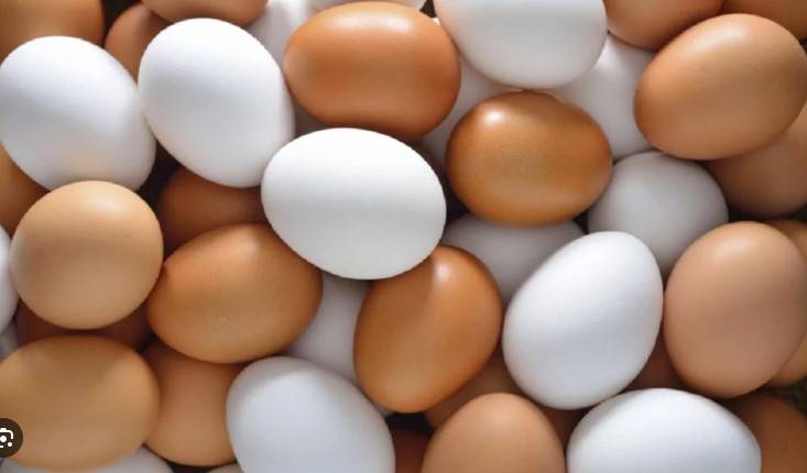 Soaring egg prices have US consumers squawking