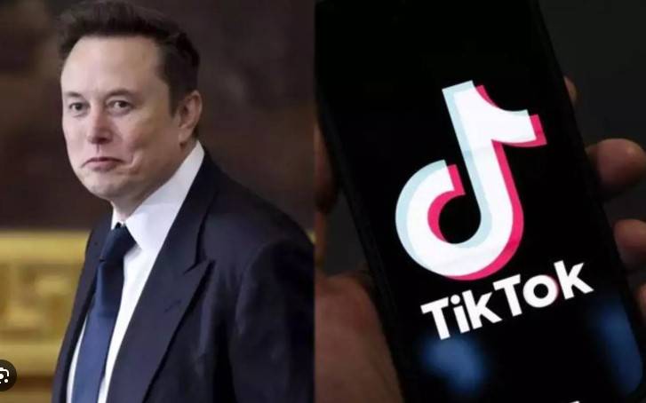 Elon Musk says has no plans to acquire TikTok's US operations