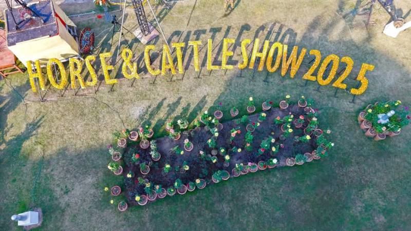 Three decades later, National Horse and Cattle show returns in grand style