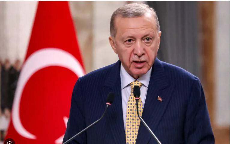'No-one has the power' to remove Palestinians from Gaza: Erdogan