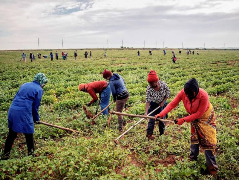 Key partner in S.Africa unity govt seeks to annul land reform act