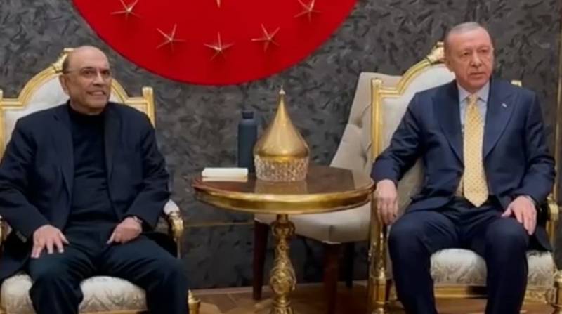 President Zardari meets Erdogan in Istanbul en route to Lisbon